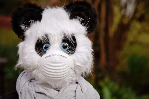 Pronto Casino Tacaíocht